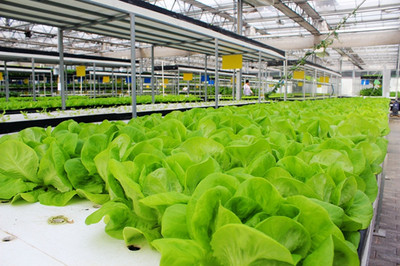 中國(guó)科技農(nóng)業(yè)展示園