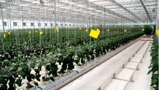 農(nóng)業(yè)特色小鎮(zhèn)中的三大類(lèi)產(chǎn)業(yè),缺一不可