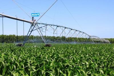 做強做優&ldquo;雙黃&ldquo;產業 通遼這樣打造國家農業科技園區