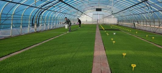 稼穡篤行|前進(jìn)農(nóng)場農(nóng)業(yè)科技服務(wù)中心