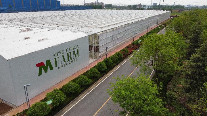 奮進新征程 建功新時代&middot;老區(qū)新貌丨太行山革命老區(qū):&ldquo;紅綠交織&rdquo;繪就太行新畫卷