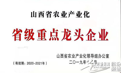 襄汾農特產 蓓鮮農業(yè)科技公司 主產杏鮑菇