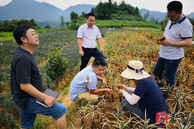 省農科院科技專家服務團深入龍山田間地頭助力產業(yè)發(fā)展