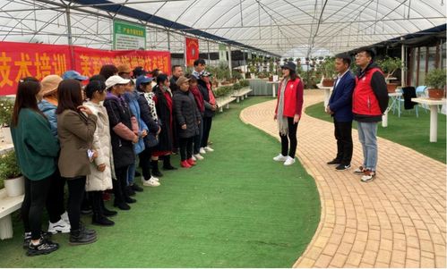 科技賦能 花香四溢 廣西農(nóng)科院花卉研究所的農(nóng)業(yè)科技服務(wù)之路