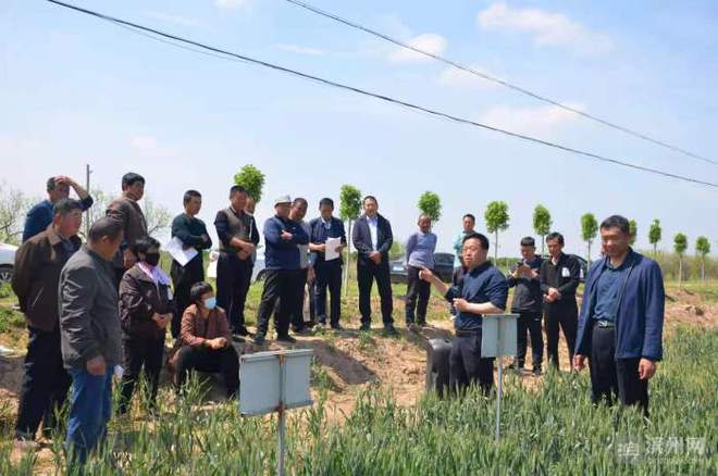 科技特派員賦能濱州田野，精準(zhǔn)服務(wù)播撒鄉(xiāng)村振興新希望